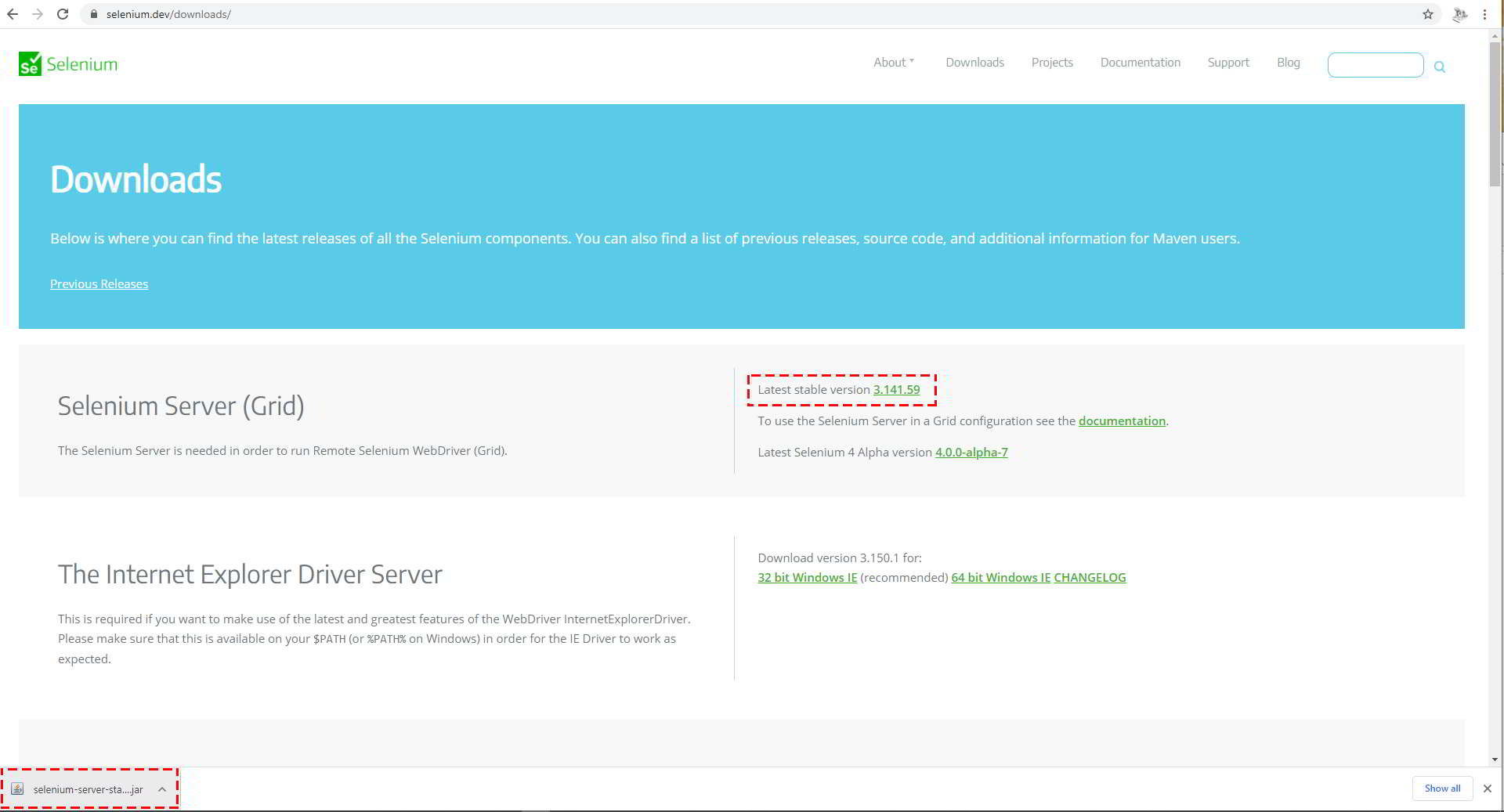 Selenium download Selenium download